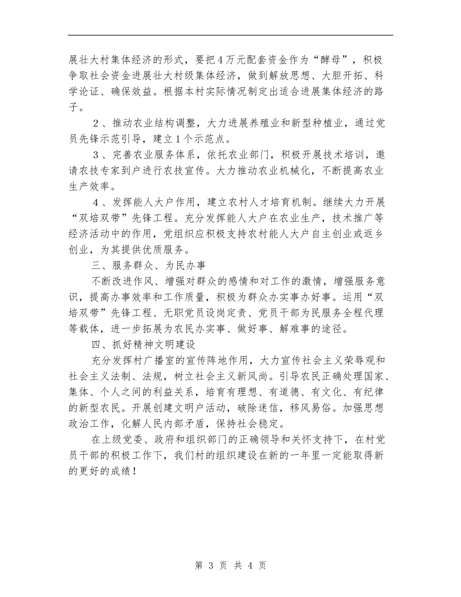 2024村党支部工作计划范文2_第3页