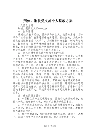 刑侦、刑技党支部个人整改方案