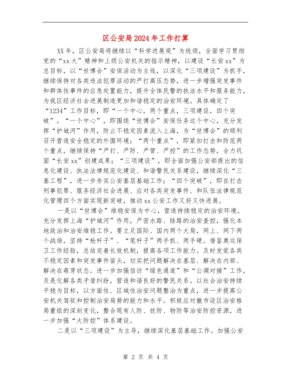 区公安局2024年工作打算_第2页