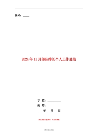 2024年11月部队排长个人工作总结