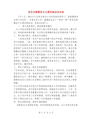 党员先锋模范月主题实践活动总结