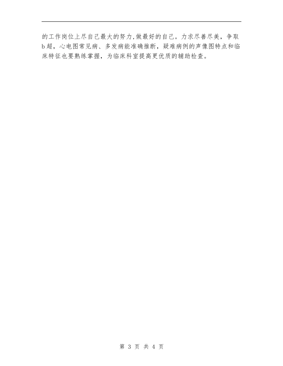 2024年超声工作年终考核总结范文_第3页