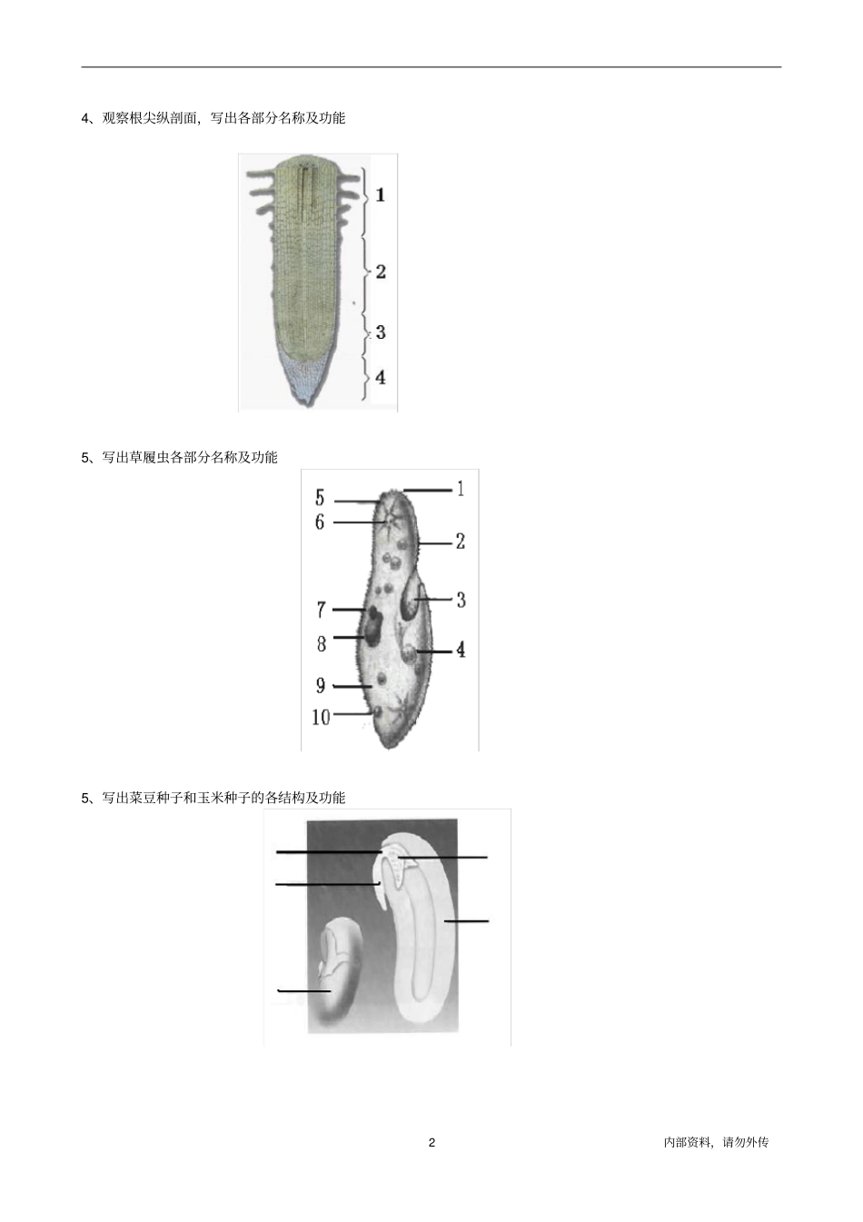 (完整)八年级生物会考复习识图题_第2页