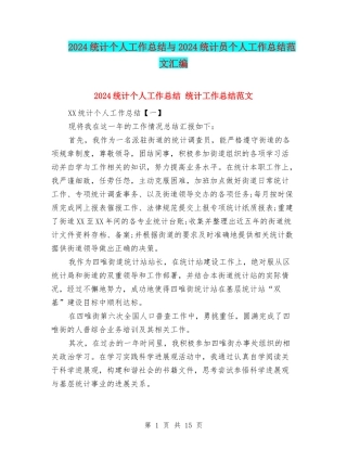 2024统计个人工作总结与2024统计员个人工作总结范文汇编