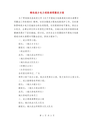 城乡电力道路清理整改方案