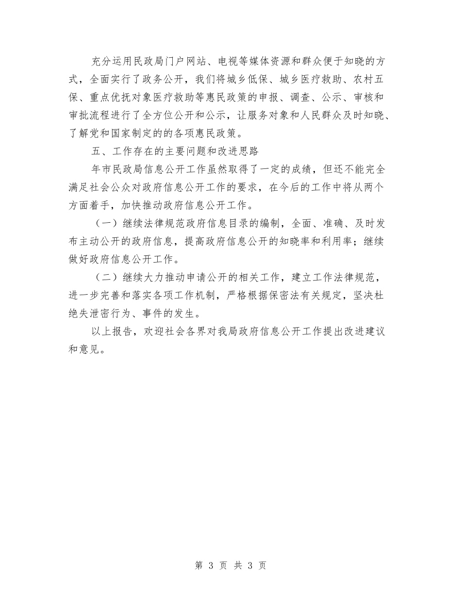 民政局信息公开年终报告_第3页