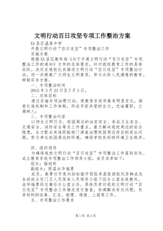 文明行动百日攻坚专项工作整治实施方案 