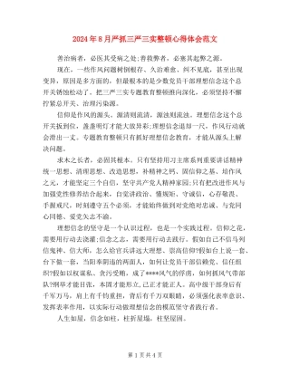 2024年8月严抓三严三实整顿心得体会范文