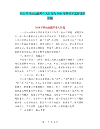 2024年终执业医师个人计划与2024年终技术工作述职汇编