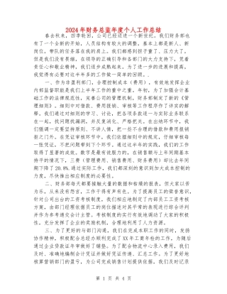2024年财务总监年度个人工作总结