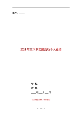 2024年三下乡实践活动个人总结