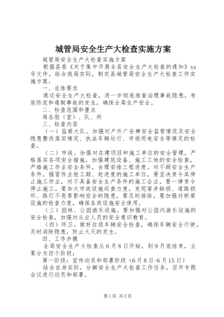 城管局安全生产大检查方案 