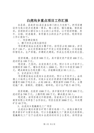 白虎沟乡重点项目工作汇报 