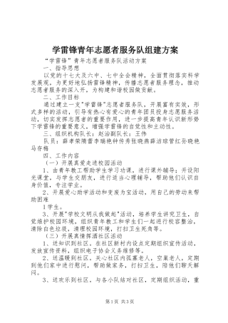 学雷锋青年志愿者服务队组建实施方案 