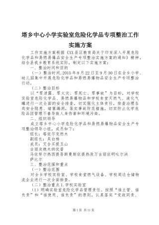 塔乡中心小学实验室危险化学品专项整治工作实施方案