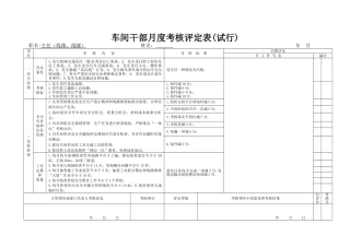 干部月度考核评定表