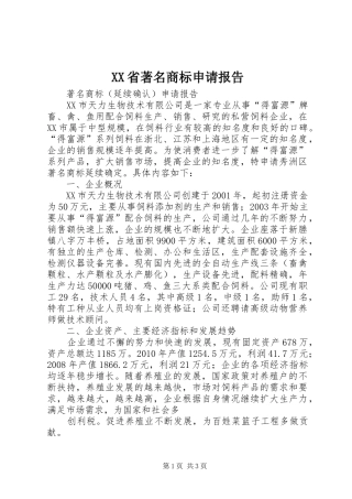 XX省著名商标申请报告 