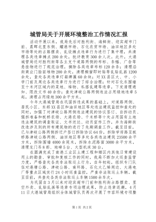 城管局关于开展环境整治工作情况汇报 