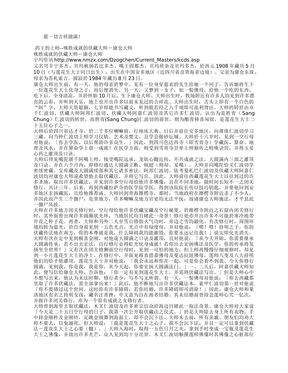 藏医药王简历_第3页