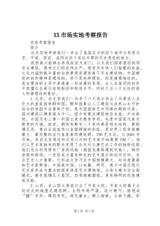 XX市场实地考察报告 