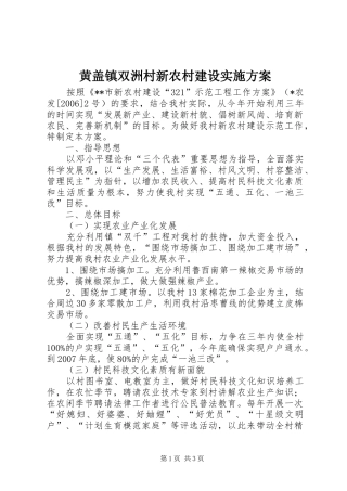 黄盖镇双洲村新农村建设方案 