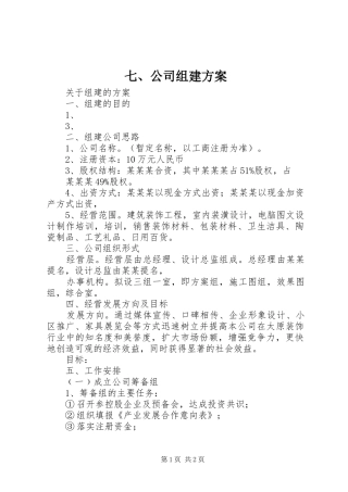 七、公司组建实施方案 