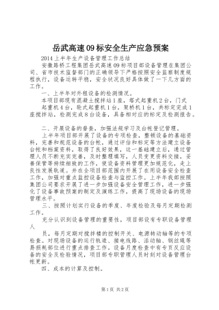 岳武高速09标安全生产应急处置预案 