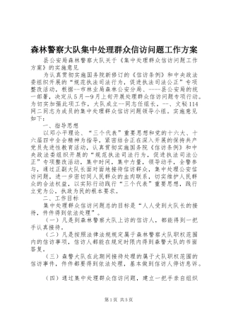 森林警察大队集中处理群众信访问题工作实施方案 