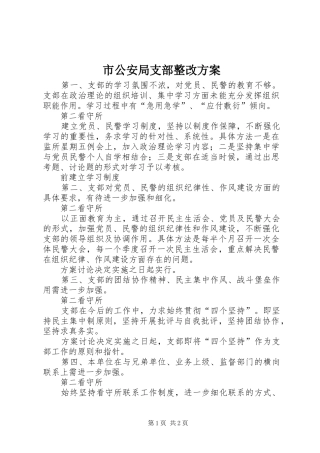 市公安局支部整改实施方案 
