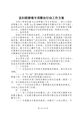 县妇联禁毒专项整治行动工作方案