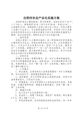 自然村农业产业化实施方案