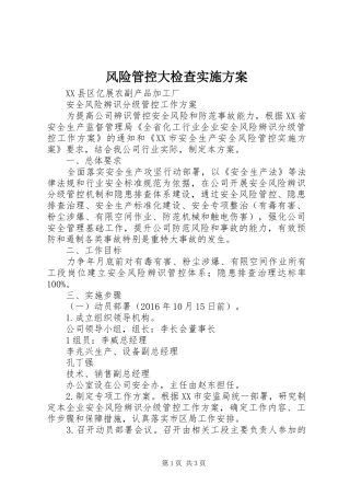 风险管控大检查方案 