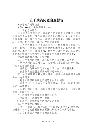 班子成员问题自查报告 