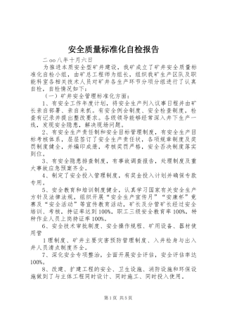 安全质量标准化自检报告 