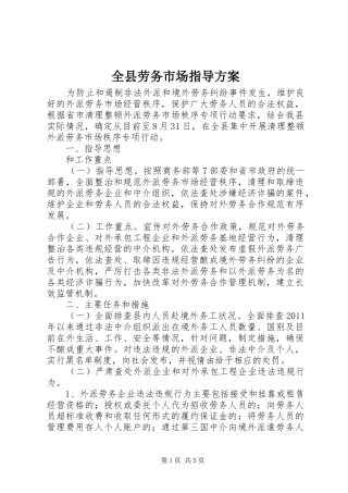 全县劳务市场指导方案