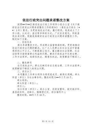 依法行政突出问题承诺整改实施方案 