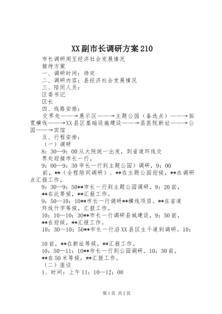 XX副市长调研实施方案210 