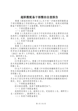 超职数配备干部整治自查报告 