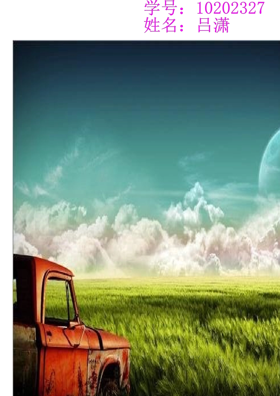 大学职业生涯规划_第1页