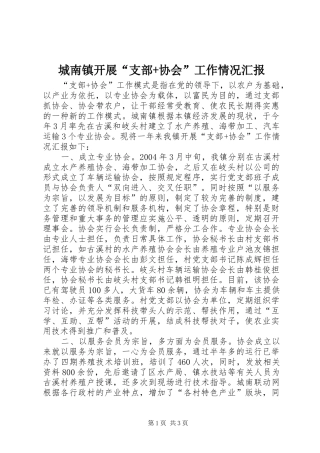 城南镇开展“支部+协会”工作情况汇报 