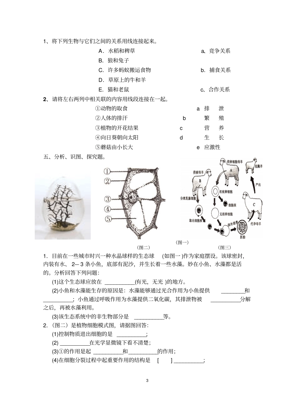 人教版七年级生物上册期末考试试卷及答案_第3页