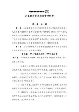 双重预防体系运行管理制度(项目级)