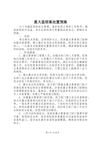 重大盗窃案处置预案
