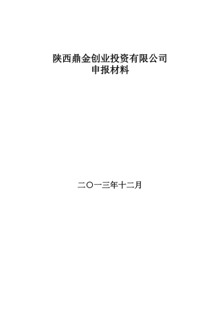 创业投资公司材料