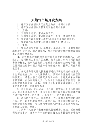 天然气市场开发方案