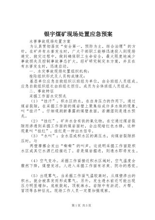 银宇煤矿现场应急预案 