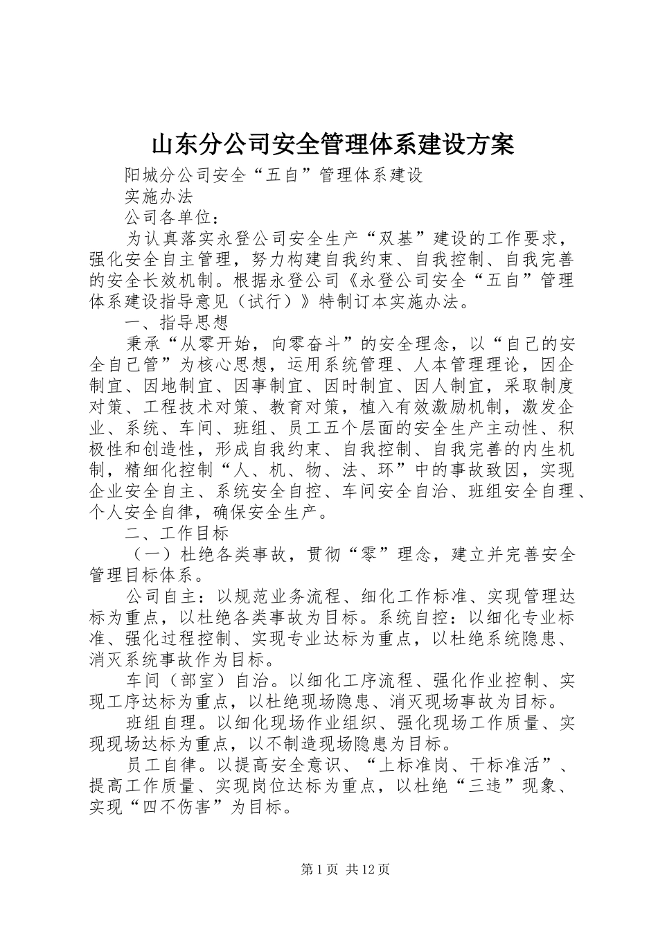 山东分公司安全管理体系建设实施方案 _第1页