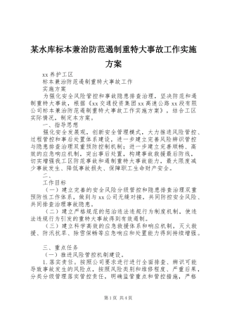 某水库标本兼治防范遏制重特大事故工作方案 