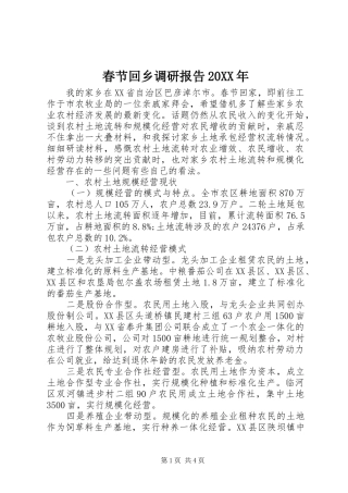 春节回乡调研报告20XX年