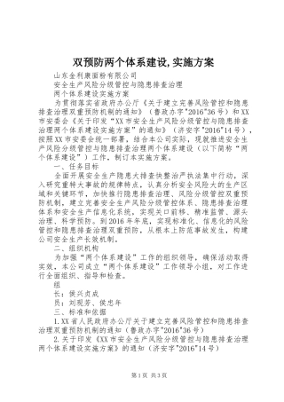 双预防两个体系建设,方案 